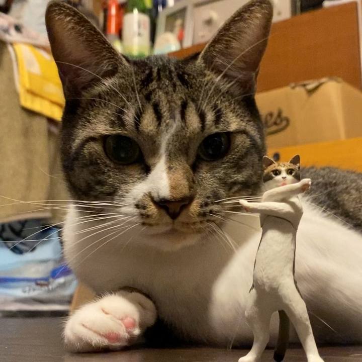 4d119920 f570 4c80 b1c7 4db59df4c2a2 1729340213439