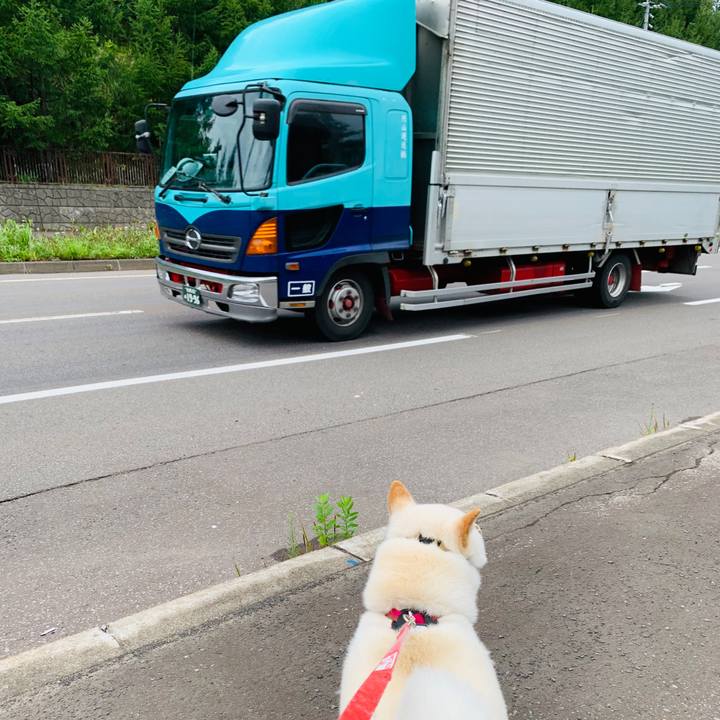 4d11ccd3 f16f 4831 b817 088cddfee7bc 1598911195438