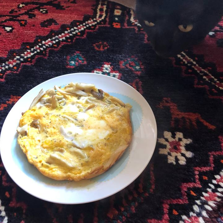 4d127090 a287 4246 81e2 36d56ef9f251 1560380183866