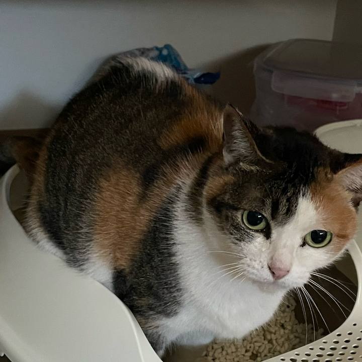 4d127e70 71f5 46c2 a5e1 3be580352940 1672705648077