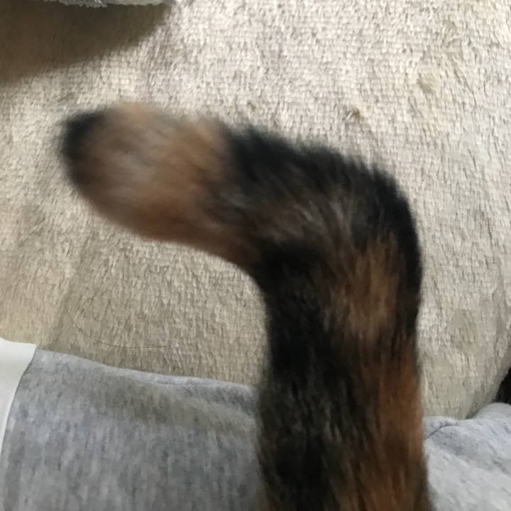 4d1280ed 07ce 4365 9baa ed08f0607695 1544363000940