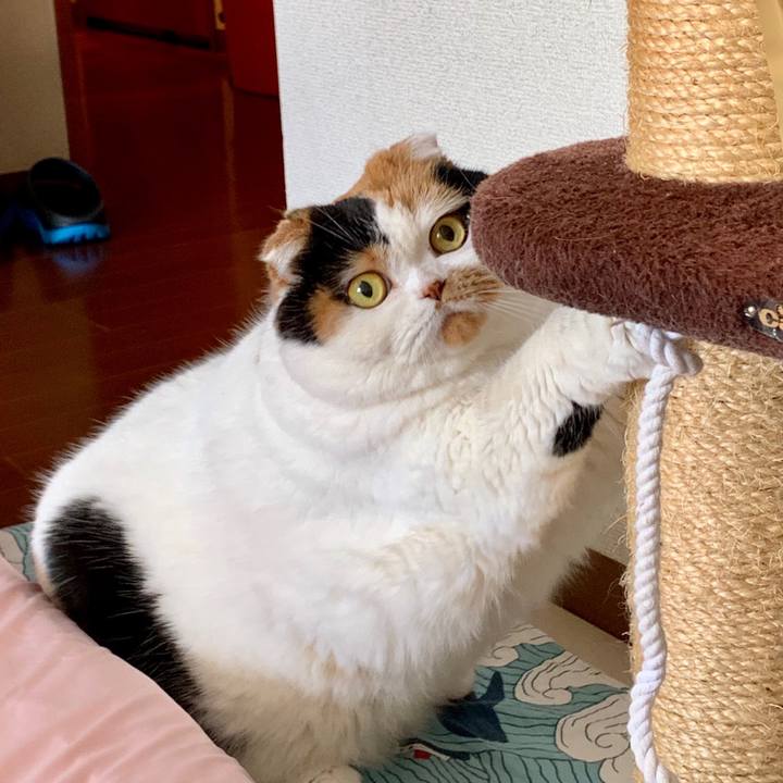 4d12833d cc59 478f 948e 024daf65deff 1579391128633