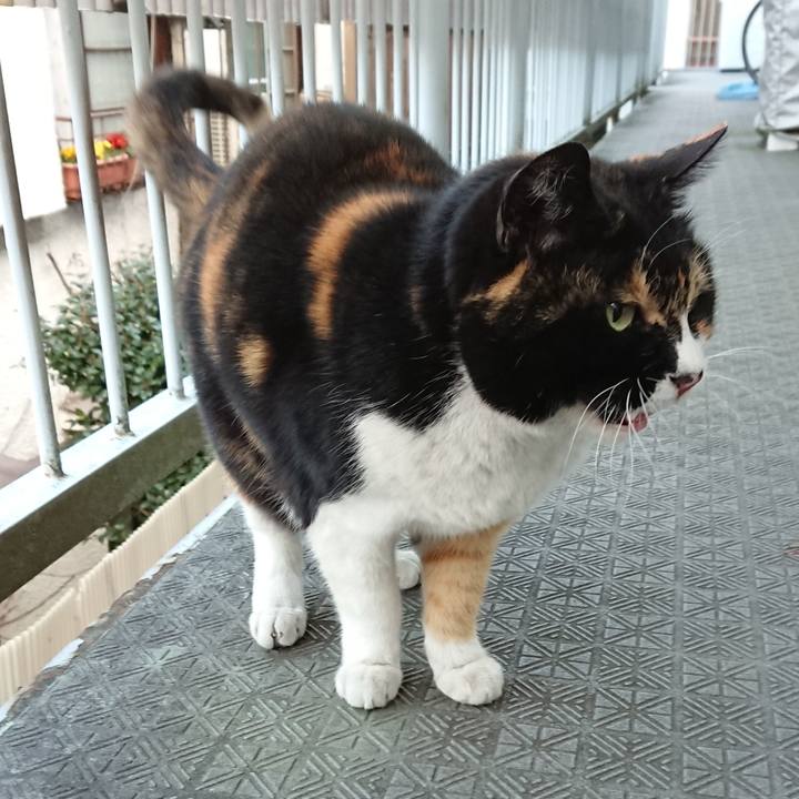 4d12a1bc 5691 4567 b738 f1dd32f81076 1643960360860