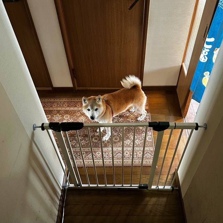 4d12a54d 80ca 4c34 9619 ae4baab954aa 1771846479333