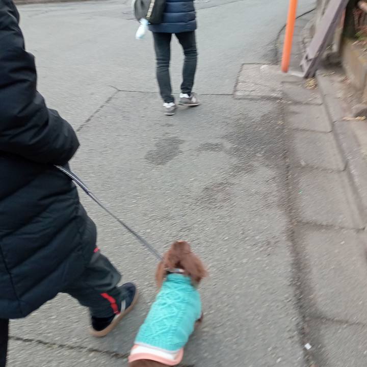 4d12b001 79a0 4b86 83c0 446fad3cc372 1770587585363