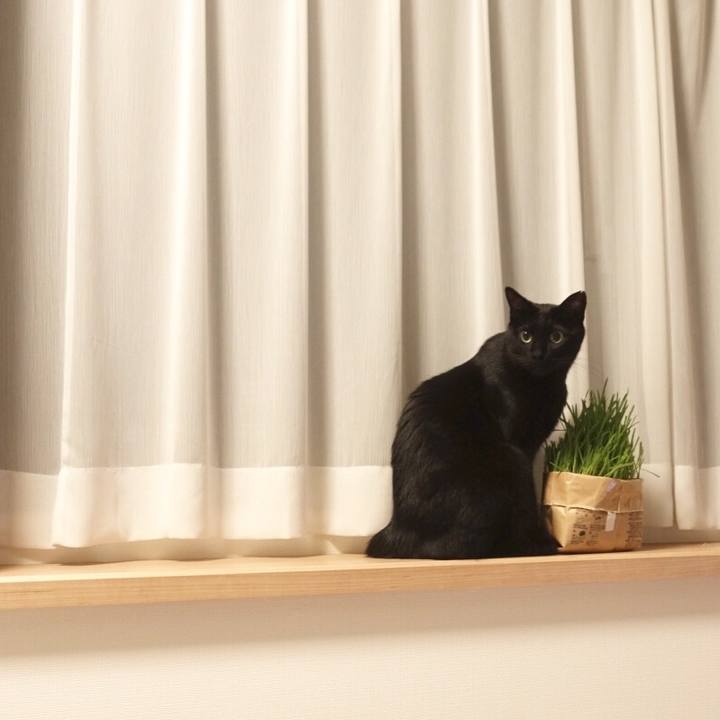 4d130d3c 2f72 4c9a 8a4f 576d1aea0df9 1557884414525