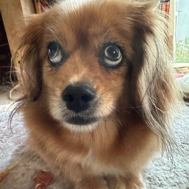 4d131a3a a708 48c3 8dfb db8702960cde 1689800587974