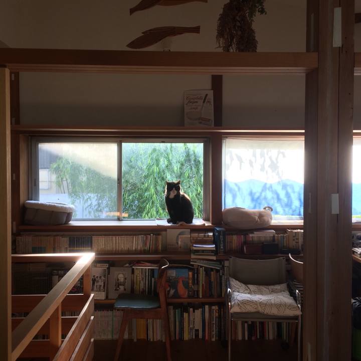 4d131bd5 157e 4532 818c 1cd92e2ee7a8 1587853562715