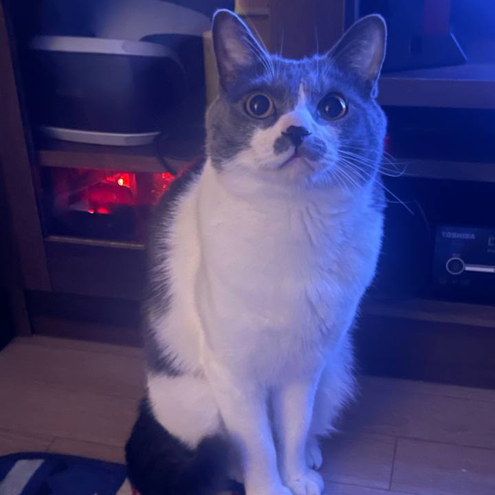 4d134786 7b95 4066 a2a9 7a5f70bfb60e 1626268655576