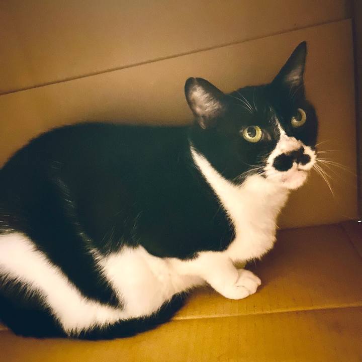 4d137656 c842 467f a80a dc9741f06eb2 1697702840889