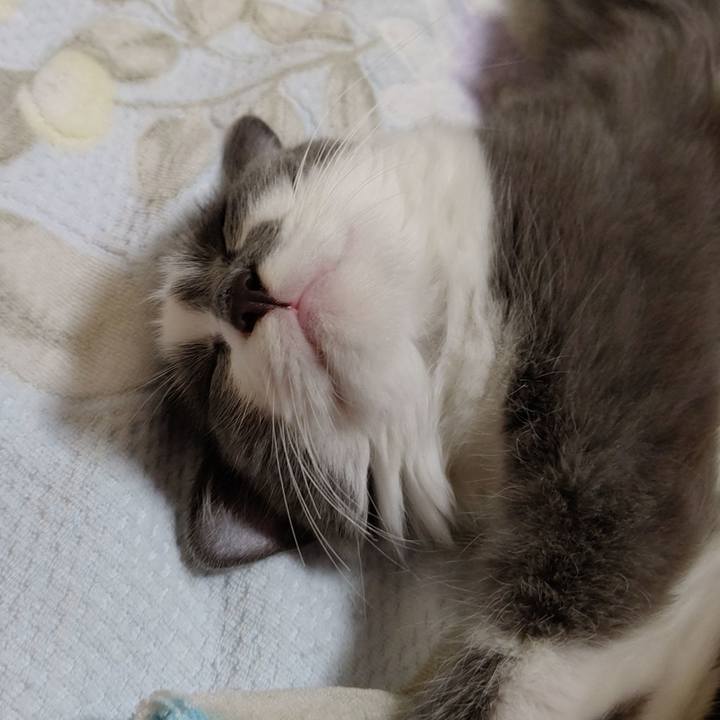 4d13818f 1417 4316 a4fb 362120e18c70 1570142005966