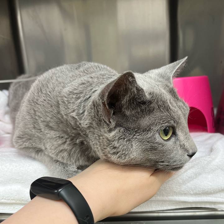 4d1385d2 b070 49d0 95c0 774ac30b2daf 1751025074874