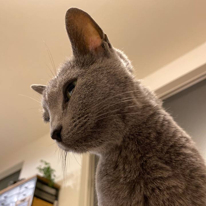 4d142820 08bf 491b b84d 967211844d5c 1587129528852