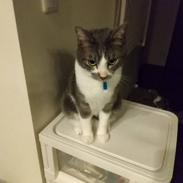 4d143fda 2c53 4cf1 ad4c 19326e0d3824 1609709001211