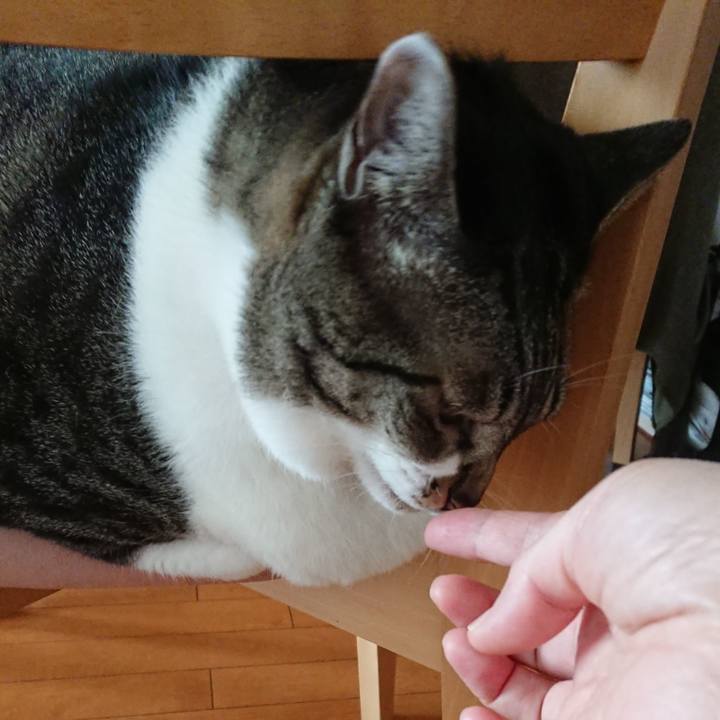 4d14a825 129b 4b60 92b4 314db2172e84 1539902683725