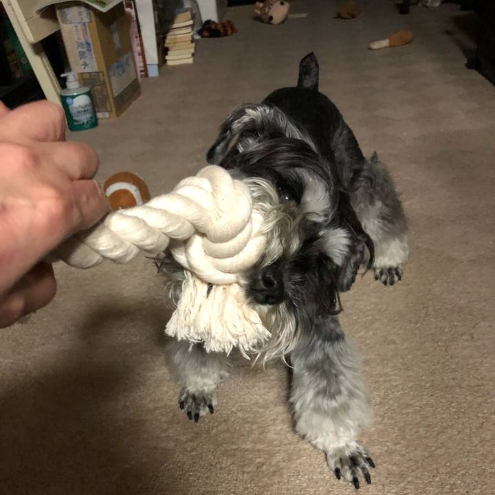 4d14b1d1 5e19 433d bceb 159058b9f03a 1684074536767