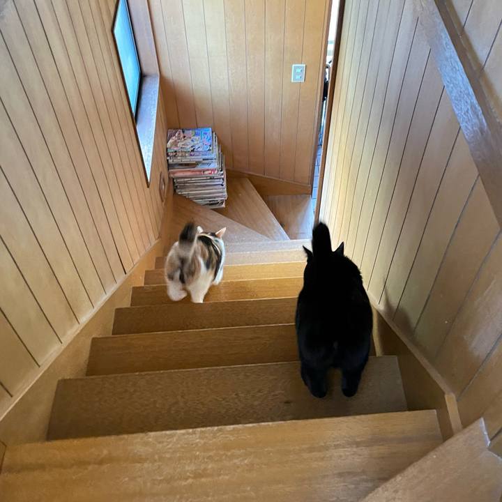 4d14b509 f85f 499a bdf9 8efb868fbb4d 1646616619685