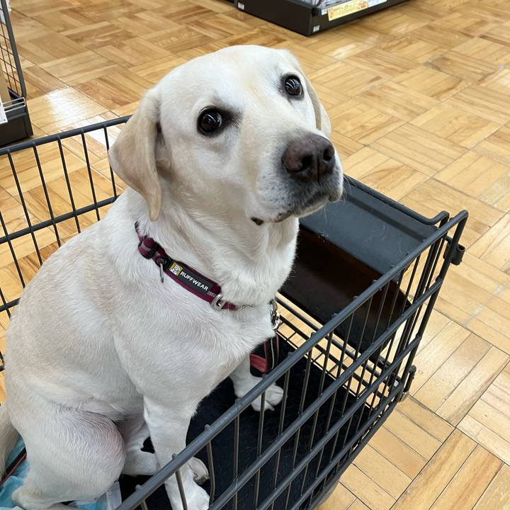 4d14edba 29ac 4c74 bcd3 9e742b1e52d2 1669201277977