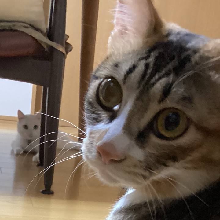 4d14fa55 0934 405e b16d da46b52d95e7 1663366483793