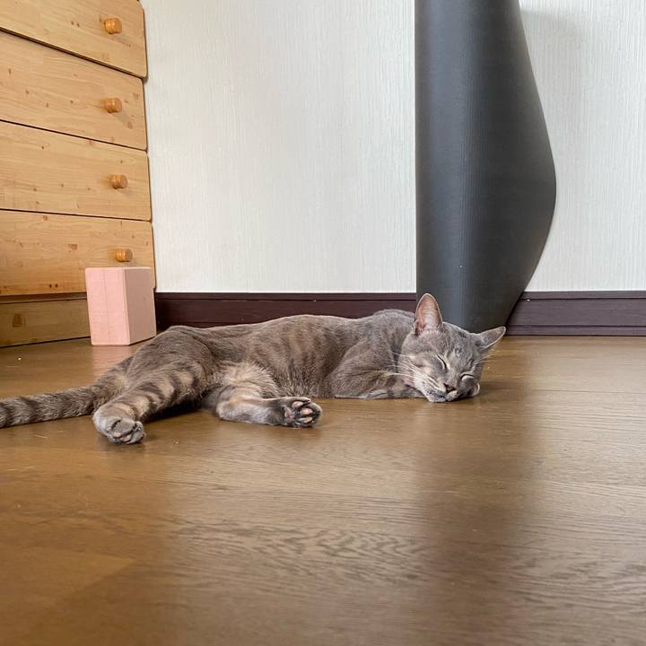 4d14fbb4 9f17 4953 ae31 eb0ce60572f3 1628726883409