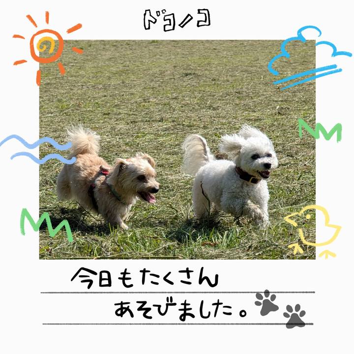 4d151df0 95d6 44f3 bce3 0e2e5b044ae3 1755063512484