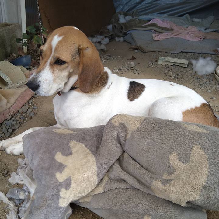 4d158253 730c 4503 9704 3a082287b17c 1635483220449