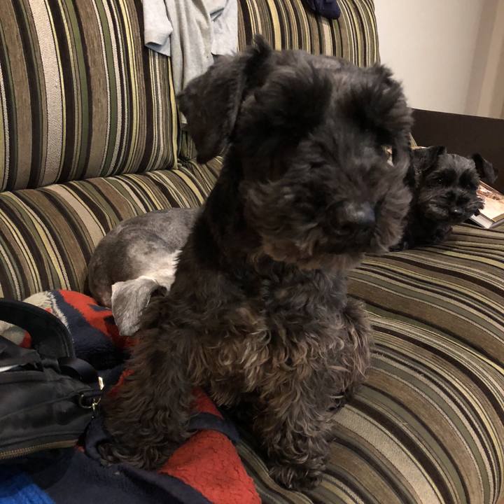 4d15bec2 779e 478a ab53 4868369e6017 1520946089873