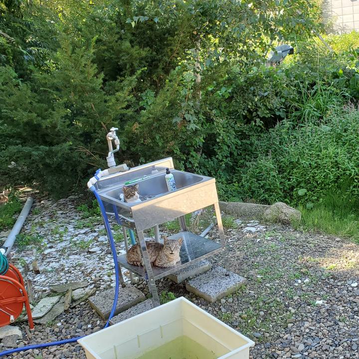 4d15eb2c dcff 4cb1 86b5 8a75fa08a33d 1694263958809