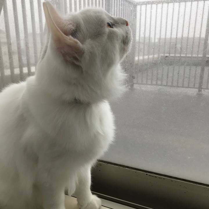 4d1606d7 aef6 473f 85d3 9b1b144f25d7 1521599932450