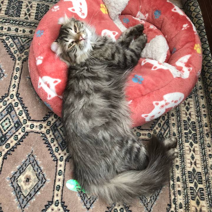 4d1673c0 7e84 4160 981f 0f678a95a142 1526529480686