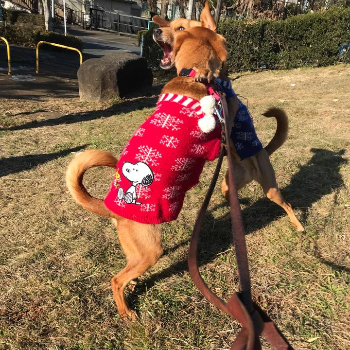 4d168432 7dcd 4ba2 b0f6 2d36cb18c6fb 1518054854460