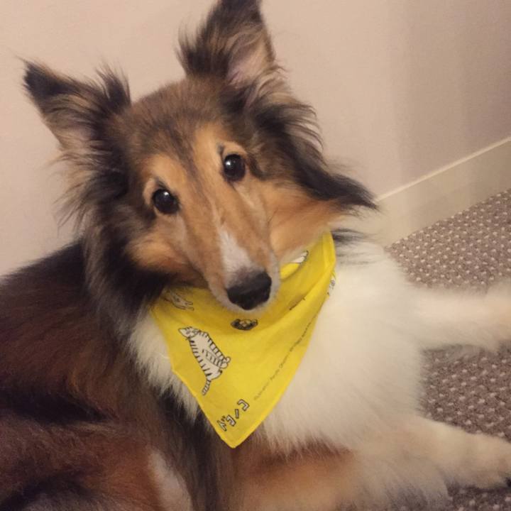 4d1694d4 1a26 409d ba3e ddf657e2df95 1597240940632