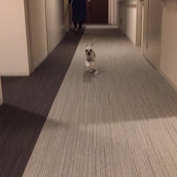 4d16d164 560f 43ab afb0 6fc3330ac46b 1540591942789