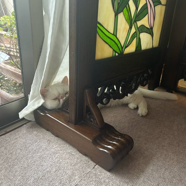 4d16f5ef 1e89 4371 bb6f aa426f13853a 1722647716993