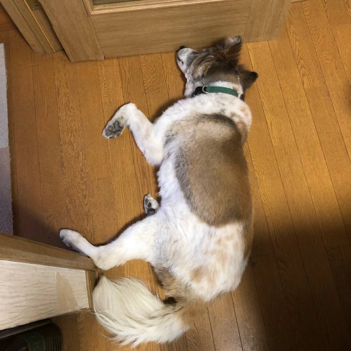 4d172c7e 69eb 4daf 8f93 2fff2bd99be9 1525398131217