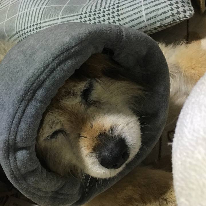 4d173350 7766 4442 b629 a22227676bf1 1614473843470