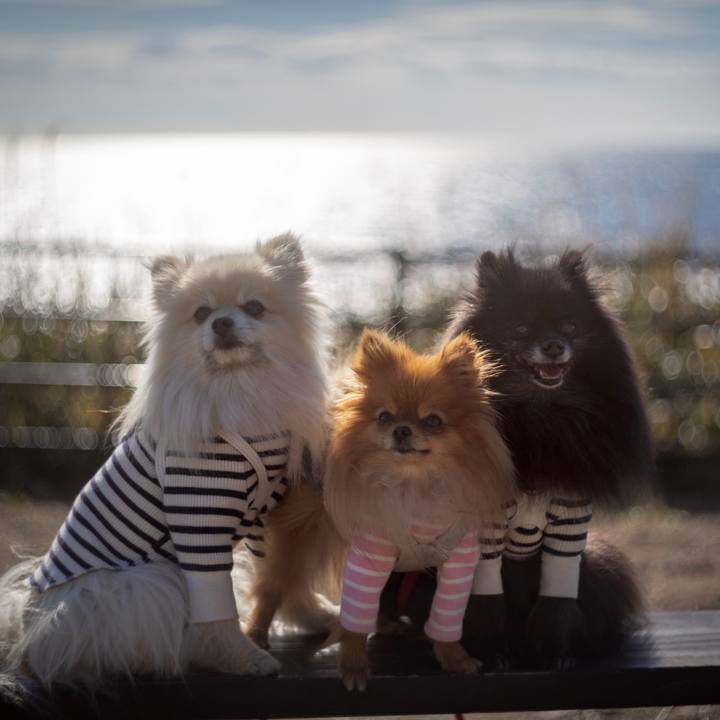 4d173eec a300 48d6 944d 441243442097 1547680618497