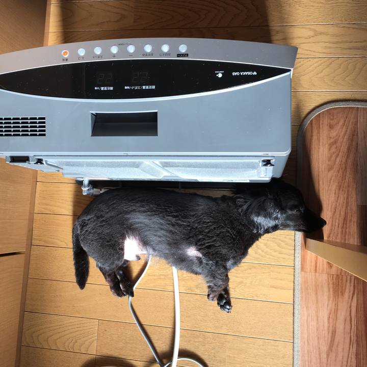 4d1748e1 cee1 45e4 bfc7 532c98593dbb 1515283955422