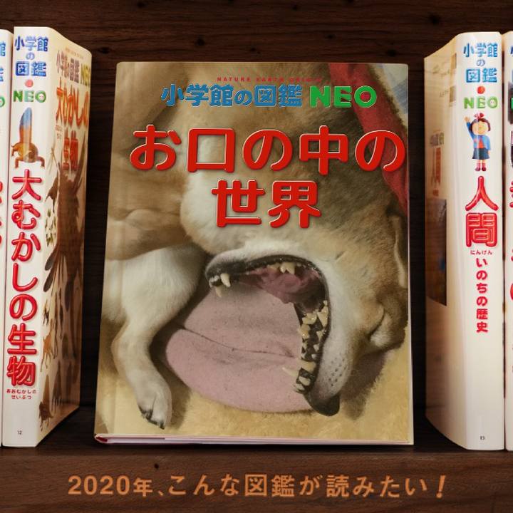 4d177a73 6c9b 47c3 ab7d e5192d9a3d3d 1578277889266