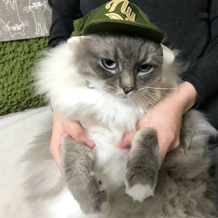 4d1783f3 39c2 4186 94a6 f9728e3711a6 1519743521300