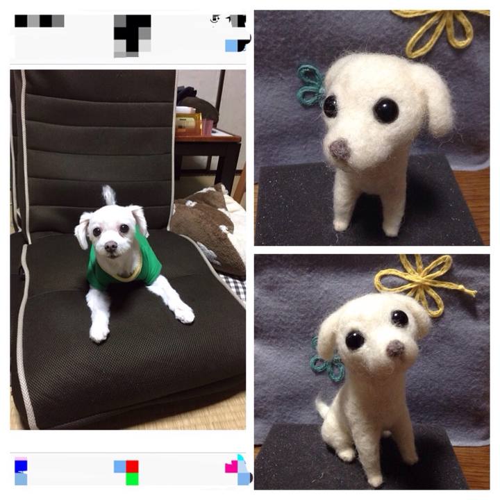 4d1792d6 ff4e 4186 a7fd 5e64441c5a9d 1517699580896