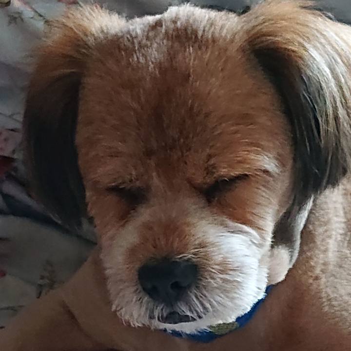 4d17bb28 604b 4bd8 b7a6 aa708b2fcd27 1564996285395