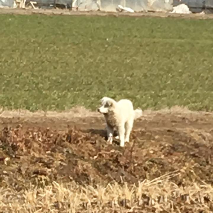 4d17ec12 af0a 4879 8cbb c1438149b98a 1548482637254