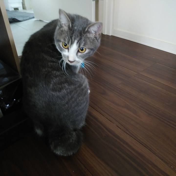 4d17edd8 902f 4011 ac85 fc8cbf810d0b 1577059982497