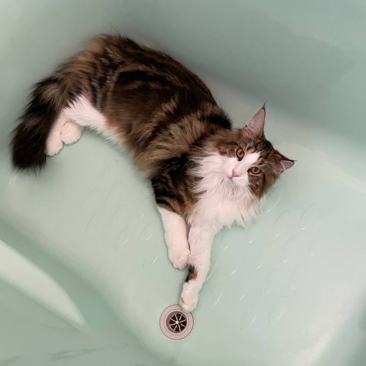 4d182e1e 6324 4f4f b11e 8f2682e651ff 1642246631628