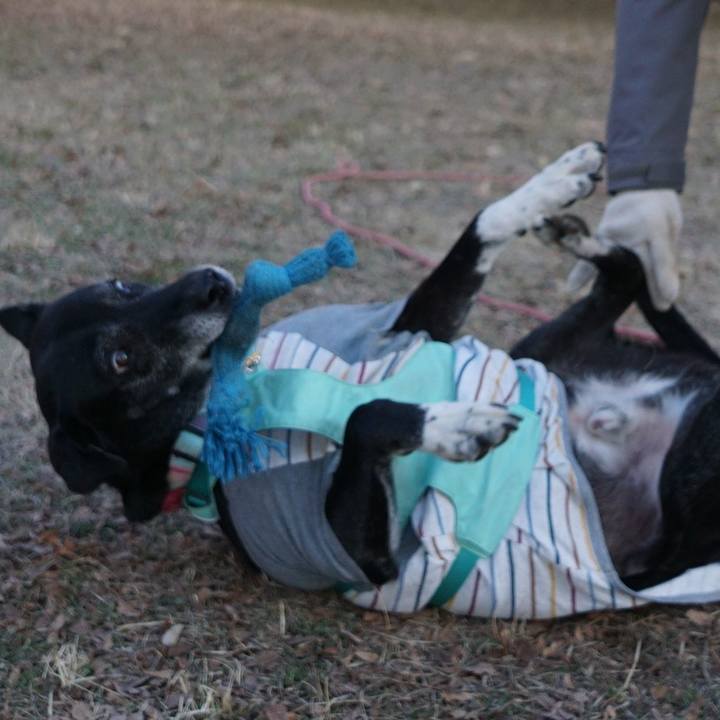 4d1836c7 0118 4b4a bbdd 753bd01d0cbb 1769821342694