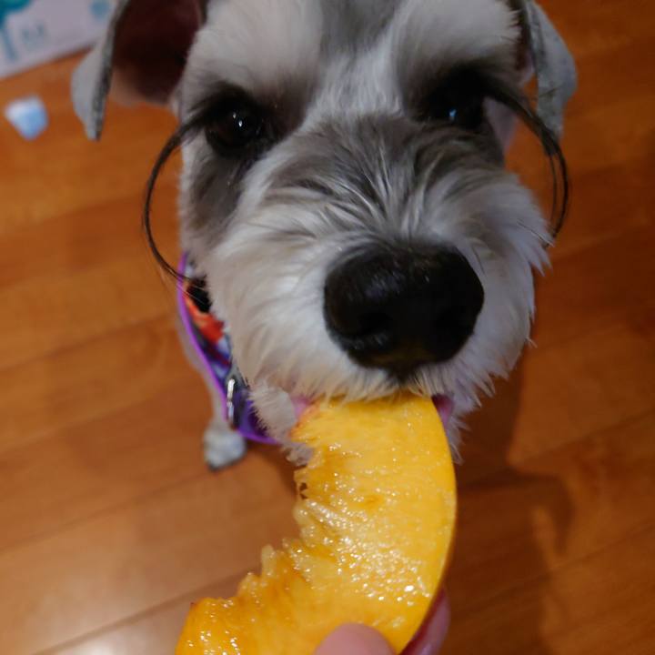 4d18421a 5a36 4944 983c bab412ae5af3 1760570728055