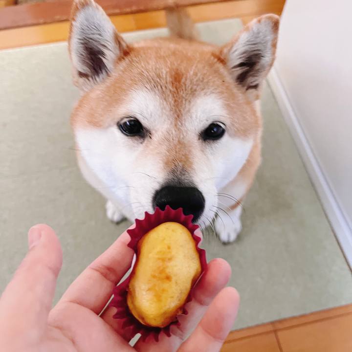 4d18445f 4541 45a9 9298 e8a2e6c765e4 1682988856406