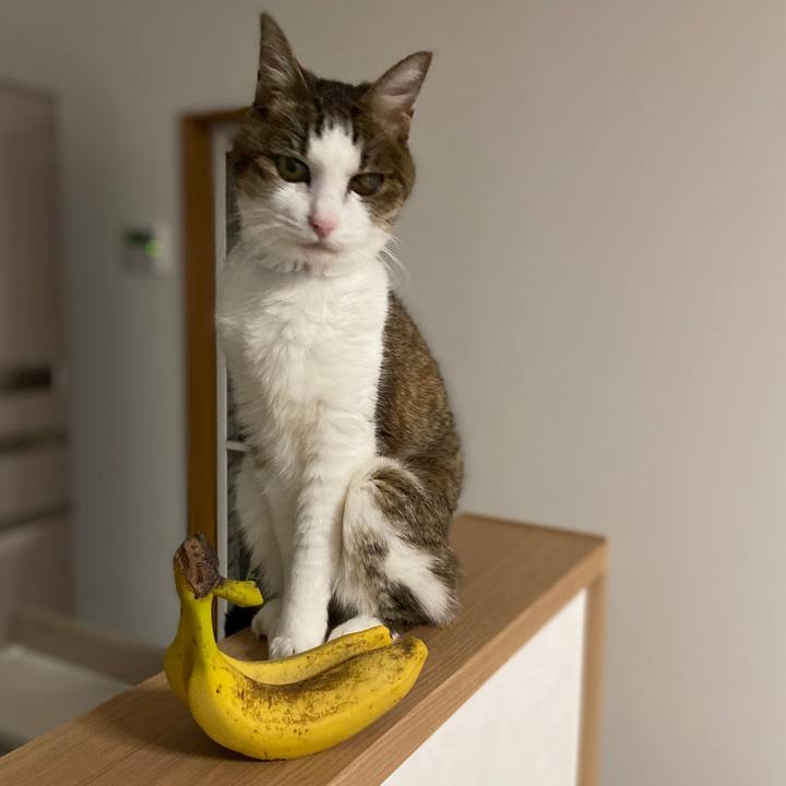 4d18926f b571 4829 98d0 cebb75ecfa90 1582197532197