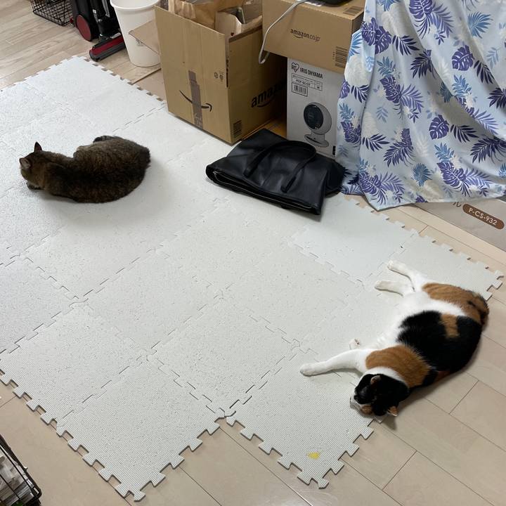 4d18a404 4f9d 48c3 a885 7598fca44bed 1624613621693